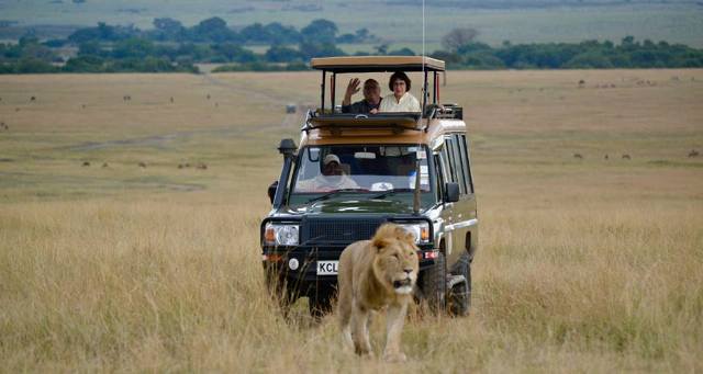 kenya safari experts