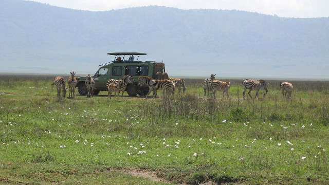 kenya safari experts