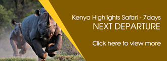 kenya safari experts