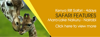 kenya safari experts