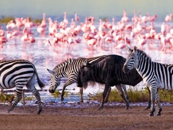 Lake Nakuru