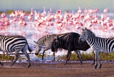 Lake Nakuru