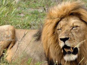 Serengeti National Park