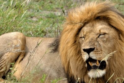 Serengeti National Park