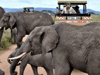 Tanzania Highlight Safari