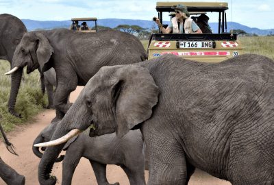 Tanzania Highlight Safari