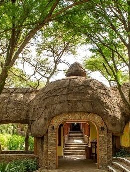 serengeti-serena-safari-lodge