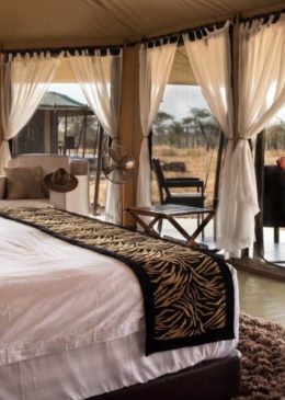Ole-Serai-Luxury-Camps-Moru-Kopjes