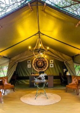 Tarangire-Kuro-Tree-Tops-Lodge