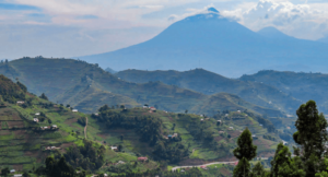Virunga Mountains