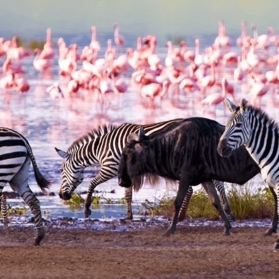 Lake Nakuru National Park