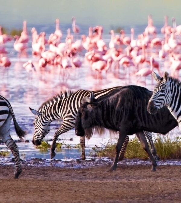 Lake Nakuru National Park