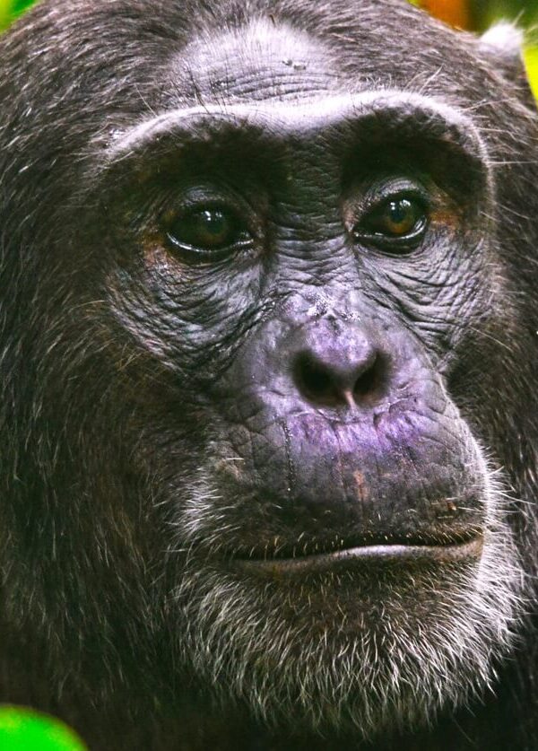 Kibale National Park