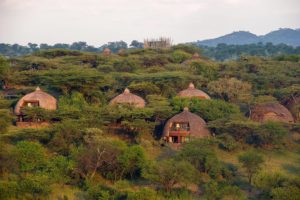 tanzania-classic-safari