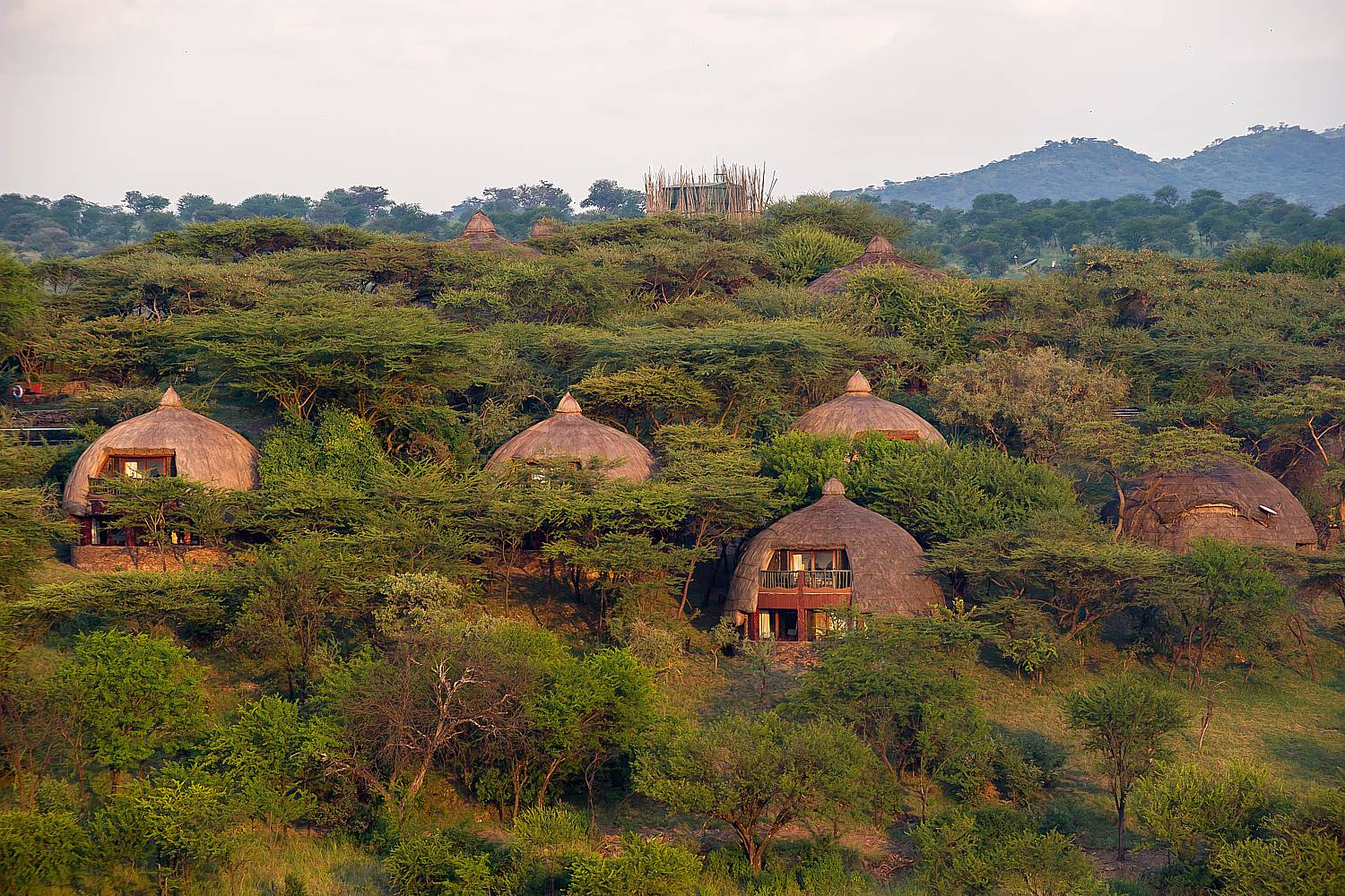 tanzania-classic-safari