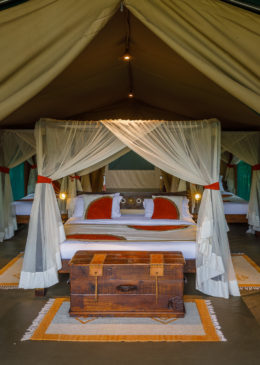 Mara Bush Camp