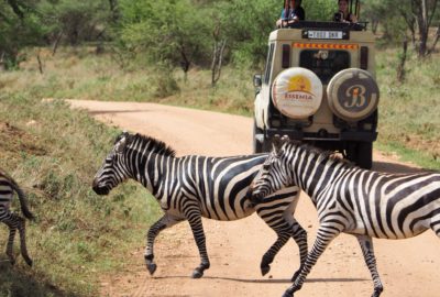 serengeti game drive